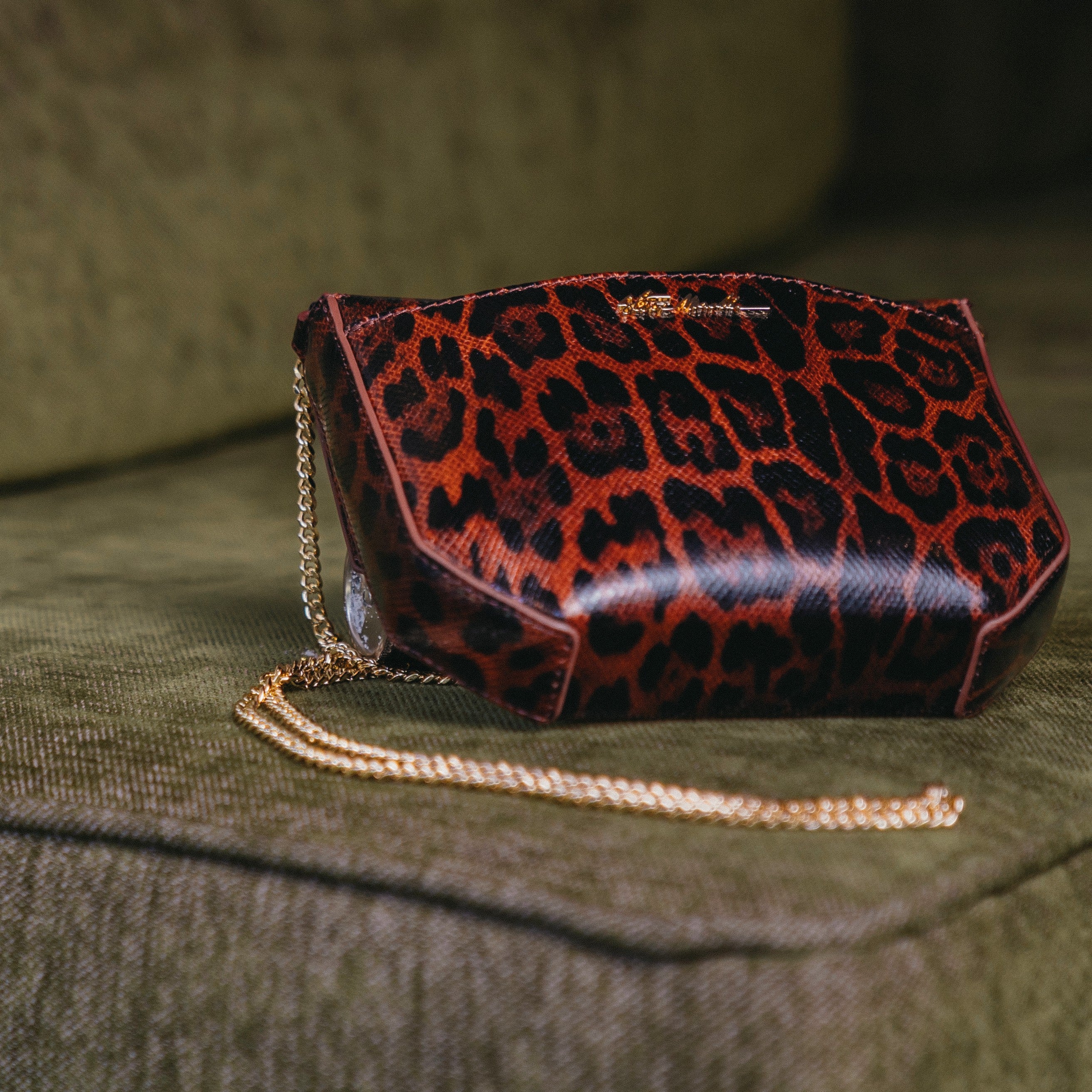 Cartera Bsandrye Leopardo